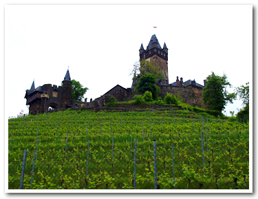 ライヒスブルク城とワイン畑