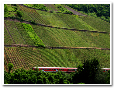 ワイン畑の側を走るドイツ鉄道